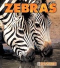 Cover: Zebras - Child's World