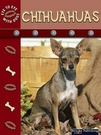 Enlarge image Cover: Chihuahuas - Rourke Publishing