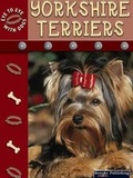 Cover: Yorkshire Terriers - Rourke Publishing