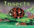 Cover: Insects - Rourke Publishing