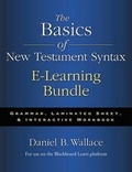 Cover: The Basics of New Testament Syntax e-Learning Bundle - Zondervan