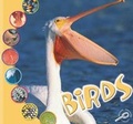Cover: Birds - Rourke Publishing