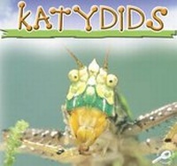 Enlarge image Cover: Katydids - Rourke Publishing