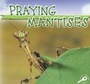 Cover: Praying Mantises - Rourke Publishing