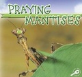 Cover: Praying Mantises - Rourke Publishing