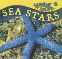 Enlarge image Cover: Sea Stars - Rourke Publishing (FL)