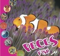 Cover: Peces - Rourke Publishing
