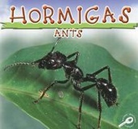 Enlarge image Cover: Hormigas - Rourke Publishing