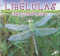Enlarge image Cover: Libelulas - Rourke Publishing