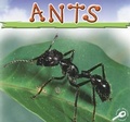 Cover: Ants - Rourke Publishing