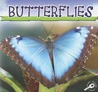 Enlarge image Cover: Butterflies - Rourke Publishing