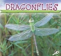 Cover: Dragonflies - Rourke Publishing