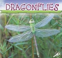 Enlarge image Cover: Dragonflies - Rourke Publishing