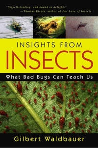 Enlarge image Cover: Insights From Insects - Prometheus Books
