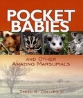 Cover: Pocket Babies - Millbrook Press (Tm)