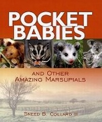 Enlarge image Cover: Pocket Babies - Millbrook Press (Tm)