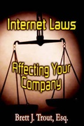 Cover: Internet Laws Affecting Your Company - Virtualbookworm.com Publishing