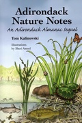 Cover: Adirondack Nature Notes - North Country Books