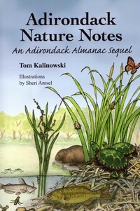 Enlarge image Cover: Adirondack Nature Notes - North Country Books