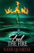 Cover: Feel The Fire - Strebor Books International, LLC