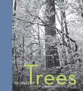 Cover: The Power of Trees - Trinity University Press,U.S.