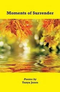 Enlarge image Cover: Moments of Surrender - Goose River Press