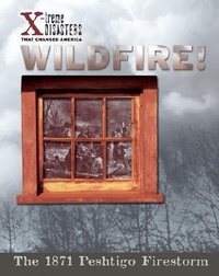 Enlarge image Cover: Wildfire! - Bearport Publishing