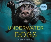 Abbildung von: Underwater Dogs - Little, Brown & Company