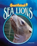Cover: Sea Lions - Bearport Publishing