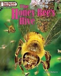 Cover: The Honey Bee's Hive - Bearport Books