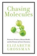 Cover: Chasing Molecules - Island Press