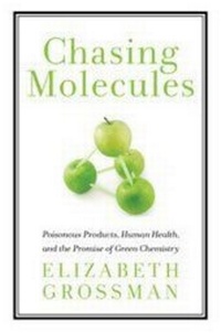 Enlarge image Cover: Chasing Molecules - Island Press