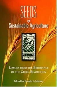 Enlarge image Cover: Seeds of Sustainability - Shearwater Books,US