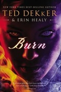 Cover: Burn - Thomas Nelson Publishers