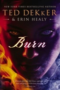 Cover: Burn - Thomas Nelson Publishers