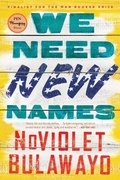 Cover: We Need New Names - Back Bay Books