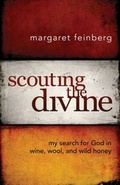 Cover: Scouting the Divine - Zondervan