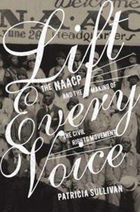 Enlarge image Cover: Lift Every Voice - The New Press