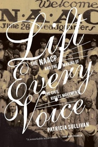 Enlarge image Cover: Lift Every Voice - The New Press