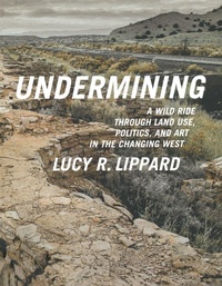 Enlarge image Cover: Undermining - The New Press