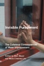 Cover: Invisible Punishment - The New Press