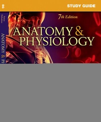 Enlarge image Cover: Study Guide for Anatomy and Physiology - Mosby