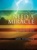 Cover: When You Need a Miracle - Zondervan