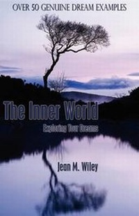 Abbildung von: The Inner World - America Star Books