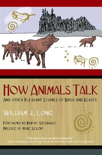 Enlarge image Cover: How Animals Talk - Bear & Company