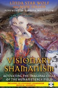 Cover: Visionary Shamanism - Bear & Company