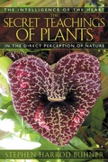 Cover: The Secret Teachings of Plants - Bear & Company