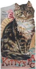 Cover: Kitty's A.B.C. Shape Book - Laughing Elephant