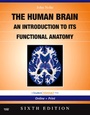 Bild: The Nolte's the Human Brain - Mosby