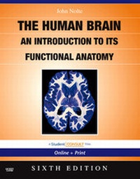 Bild vergrößern Bild: The Nolte's the Human Brain - Mosby